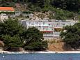 Apartments Saplunara (Mljet) - 4948