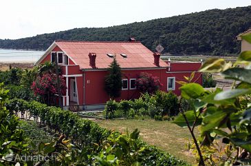 Property Kampor, Rab, Property 4972 - Apartments with sandy beach.