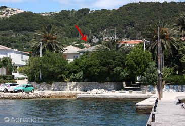 Property - Apartments 4979 Property Barbat (Rab) - Accommodation 4979 - Apartments near sea with pebble beach.