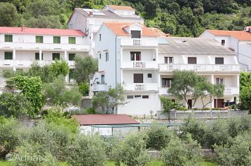 Property - Apartments and Rooms 5012 Property Kampor (Rab) - Accommodation 5012 - Apartments and Rooms near sea.