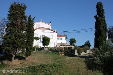 Property - Apartments 5058 Property Kampor (Rab) - Accommodation 5058 - Apartments near sea with sandy beach.