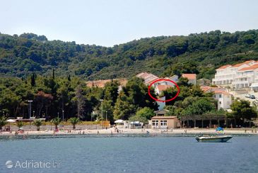 Property - Apartments 5173 Property Nečujam (Šolta) - Accommodation 5173 - Apartments near sea with pebble beach.