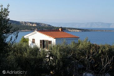 Property Uvala Pokrivenik, Hvar, Property 5224 - Apartments blizu mora.