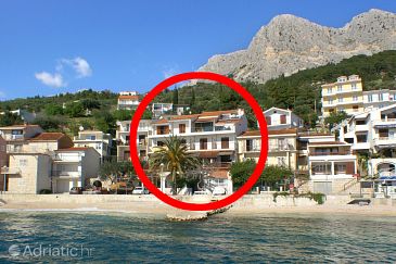 Property Podgora, Makarska, Property 5241 - Apartments blizu mora with pebble beach.