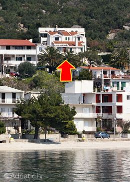 Property - Apartments 5266 Property Igrane (Makarska) - Accommodation 5266 - Apartments near sea with pebble beach.