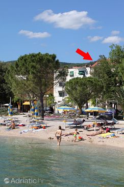 Property - Apartments 5484 Property Crikvenica (Crikvenica) - Accommodation 5484 - Apartments near sea with pebble beach.