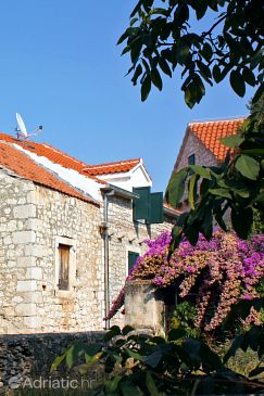 Property - Apartments 5656 Property Supetar (Brač) - Accommodation 5656 - Apartments near sea with pebble beach.