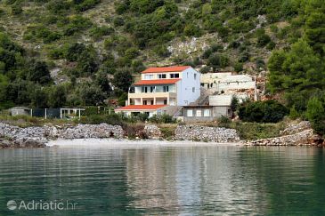 Property - Apartments 5704 Property Uvala Prapratna (Hvar) - Accommodation 5704 - Apartments near sea with pebble beach.