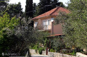 Property - Apartments 598 Property Vrboska (Hvar) - Accommodation 598 - Apartments with rocky beach.