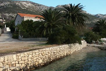 Property - Apartments 634 Property Viganj (Pelješac) - Accommodation 634 - Apartments near sea with pebble beach.