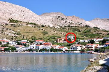 Property - Apartments and Rooms 6369 Property Metajna (Pag) - Accommodation 6369 - Apartments and Rooms with sandy beach.