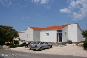 Property - Apartments 6456 Property Mandre (Pag) - Accommodation 6456 - Apartments in Croatia.