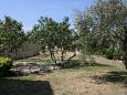 Shared terrace - view Shared terrace - view - Apartment A-6481-b - Apartments and Rooms Novalja (Pag) - 6481
