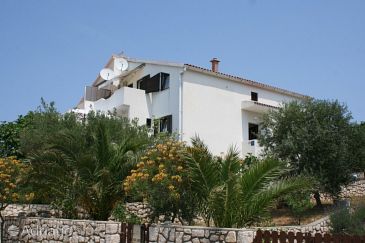 Property - Apartments 6546 Property Mandre (Pag) - Accommodation 6546 - Apartments in Croatia.