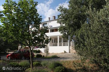 Property - Apartments 6587 Property Starigrad (Paklenica) - Accommodation 6587 - Apartments near sea.