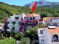 Apartments and Rooms Podgora (Makarska) - 6790