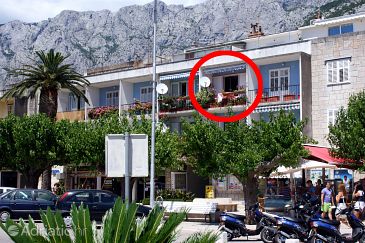 Property - Apartments 6843 Property Makarska (Makarska) - Accommodation 6843 - Apartments near sea with pebble beach.