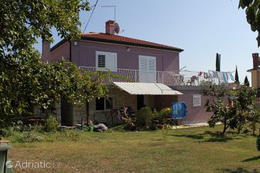 Property - Apartments 7169 Property Rovinj (Rovinj) - Accommodation 7169 - Apartments with pebble beach.
