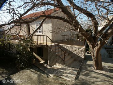 Property - Apartments 787 Property Brela (Makarska) - Accommodation 787 - Apartments with pebble beach.