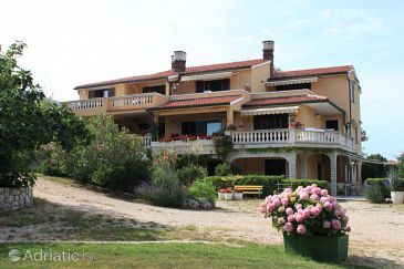 Property - Apartments 7962 Property Nerezine (Lošinj) - Accommodation 7962 - Apartments near sea with pebble beach.