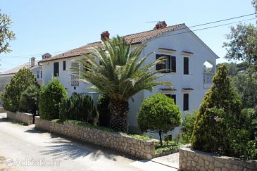 Property - Apartments 8089 Property Artatore (Lošinj) - Accommodation 8089 - Apartments with pebble beach.