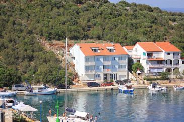 Property - Apartments and Rooms 8144 Property Zaglav (Dugi otok) - Accommodation 8144 - Apartments and Rooms near sea.