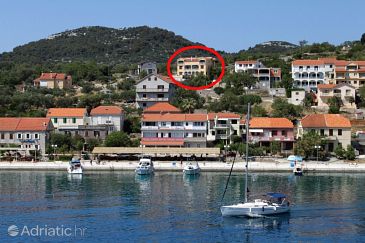 Property - Apartments 8152 Property Sali (Dugi otok) - Accommodation 8152 - Apartments with pebble beach.
