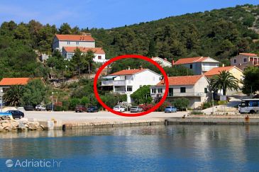 Property Zaglav, Dugi otok, Property 8171 - Apartments blizu mora.