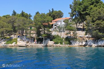 Property - Vacation Rentals 8175 Property Lavdara (Dugi otok) - Accommodation 8175 - Vacation Rentals near sea.