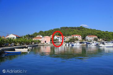 Property Kukljica, Ugljan, Property 8408 - Apartments and Rooms blizu mora with pebble beach.