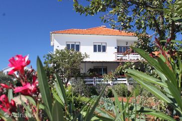 Property - Apartments and Rooms 8420 Property Ugljan (Ugljan) - Accommodation 8420 - Apartments and Rooms near sea.