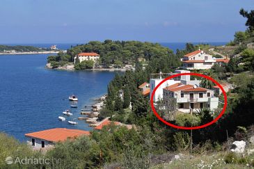 Property - Apartments 8524 Property Vis (Vis) - Accommodation 8524 - Apartments near sea with rocky beach.