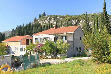 Property - Apartments 8547 Property Slano (Dubrovnik) - Accommodation 8547 - Apartments with pebble beach.