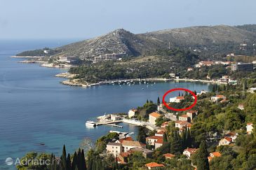 Property - Apartments 8571 Property Mlini (Dubrovnik) - Accommodation 8571 - Apartments near sea with pebble beach.