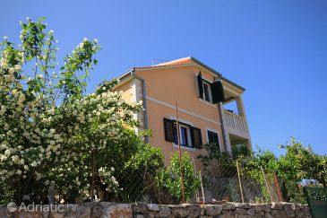 Property - Apartments 8735 Property Vrbanj (Hvar) - Accommodation 8735 - Apartments with pebble beach.