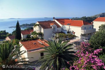Property - Apartments and Rooms 8743 Property Mlini (Dubrovnik) - Accommodation 8743 - Apartments and Rooms with pebble beach.