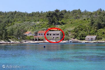 Property - Apartments and Rooms 8800 Property Šćedro - Uvala Mostir (Hvar) - Accommodation 8800 - Apartments and Rooms near sea with pebble beach.