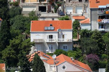 Property - Apartments 8823 Property Dubrovnik (Dubrovnik) - Accommodation 8823 - Apartments with pebble beach.