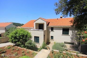 Property - Apartments 8826 Property Cavtat (Dubrovnik) - Accommodation 8826 - Apartments near sea.