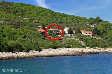 Property - Apartments 8918 Property Brgujac (Vis) - Accommodation 8918 - Apartments near sea.