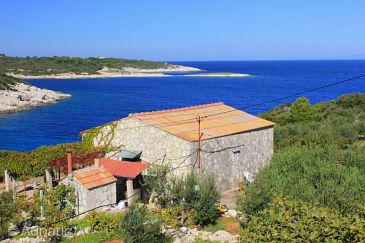Property - Vacation Rentals 8931 Property Uvala Mala Svitnja (Vis) - Accommodation 8931 - Vacation Rentals near sea with pebble beach.