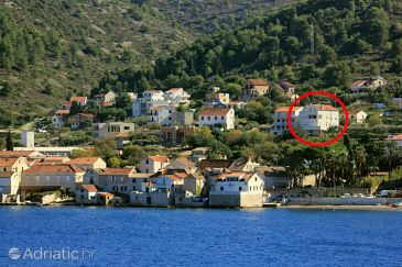 Property - Apartments 8937 Property Vis (Vis) - Accommodation 8937 - Apartments with pebble beach.