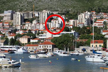 Property - Apartments 8955 Property Dubrovnik (Dubrovnik) - Accommodation 8955 - Apartments with pebble beach.