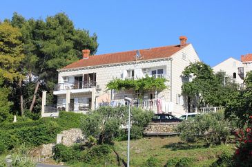 Property - Apartments 8963 Property Cavtat (Dubrovnik) - Accommodation 8963 - Apartments in Croatia.