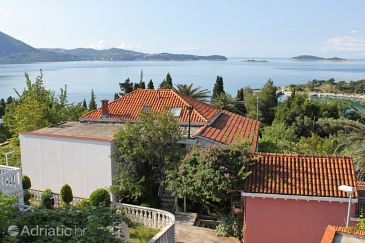 Property - Apartments 9018 Property Mlini (Dubrovnik) - Accommodation 9018 - Apartments with pebble beach.