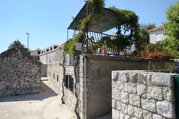 Property - Apartments 9021 Property Dubrovnik (Dubrovnik) - Accommodation 9021 - Apartments with pebble beach.