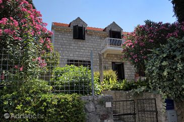 Property - Vacation Rentals 9113 Property Cavtat (Dubrovnik) - Accommodation 9113 - Vacation Rentals near sea.
