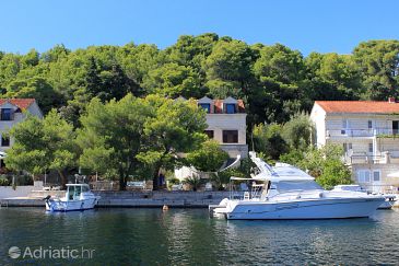 Property - Apartments 9157 Property Korčula (Korčula) - Accommodation 9157 - Apartments near sea.