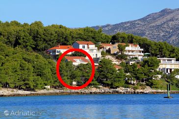 Property - Apartments 9260 Property Lumbarda (Korčula) - Accommodation 9260 - Apartments near sea.