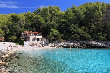 Property - Apartments 9294 Property Zavalatica (Korčula) - Accommodation 9294 - Apartments near sea with pebble beach.